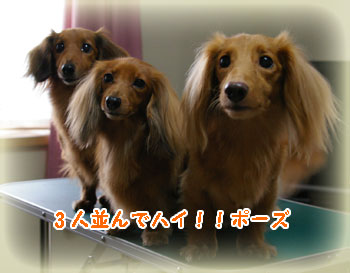 ケイトちゃん