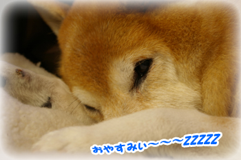 太郎くん