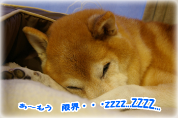 太郎くん