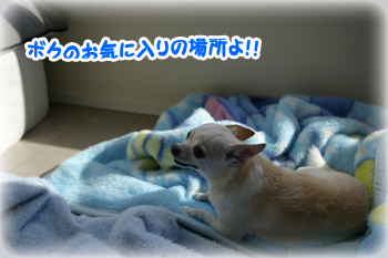 マイキーくん