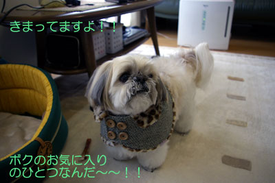 マークくん