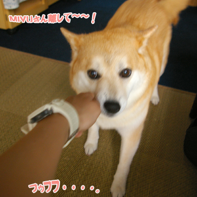 モモちゃん