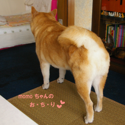 モモちゃん