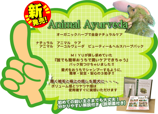愛犬ウルウル・ツヤツヤ!!安全・簡単ハーブパック アニマルアーユルヴェーダ!!
