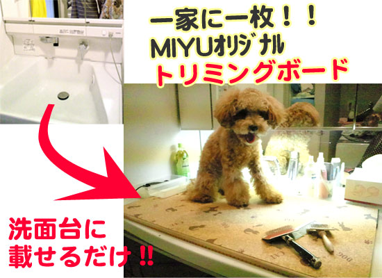 MIYU�ؼ��ف@�g���~���O�{�[�h�E�e�[�u��