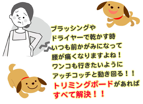 MIYU�ؼ��ف@�g���~���O�{�[�h�E�e�[�u��