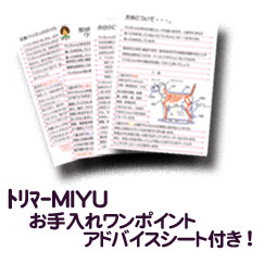 出張トリマーMIYUオリジナル【お手入れ ワンポイントアドバイス テキスト】と届いてすぐに使える電池つき