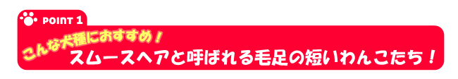 スムースヘアに分類されるわんちゃんに最適です