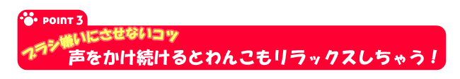 犬をブラシ嫌いにさせないコツ