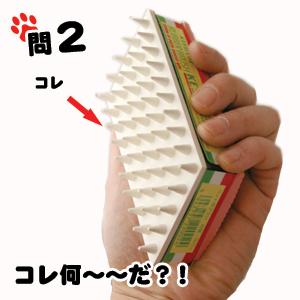 コレはなんでしょ〜?!凄い働きします!!