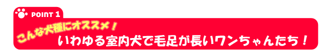 長毛犬・毛足が長いワンちゃんに最適です
