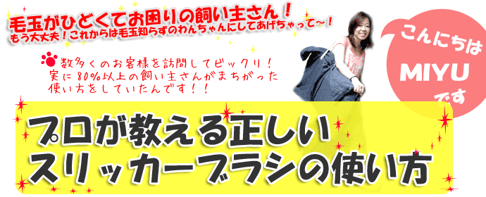 正しいブラッシング方法教えます!!