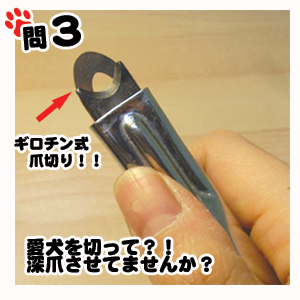 愛犬の爪を深爪している人!!