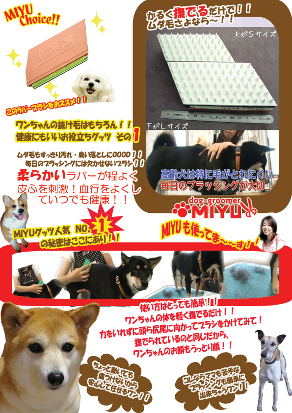 プロのトリマーが教える正しいラバーブラシの使い方