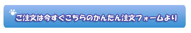 ラバーブラシのご注文はコチラから