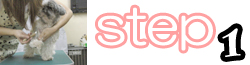ステップ1