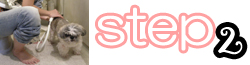 ステップ2