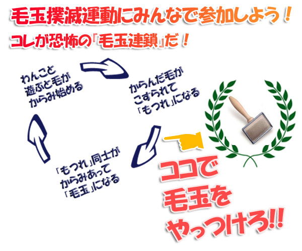 毛玉連鎖をくいとめよう!