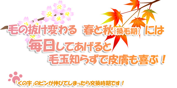 毛の抜け変わる換毛期の春と秋は毎日ブラッシングしましょう